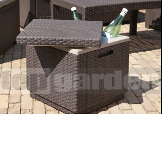 € 69.00 (Cena s DPH) Chladiaci box Ice Cube
